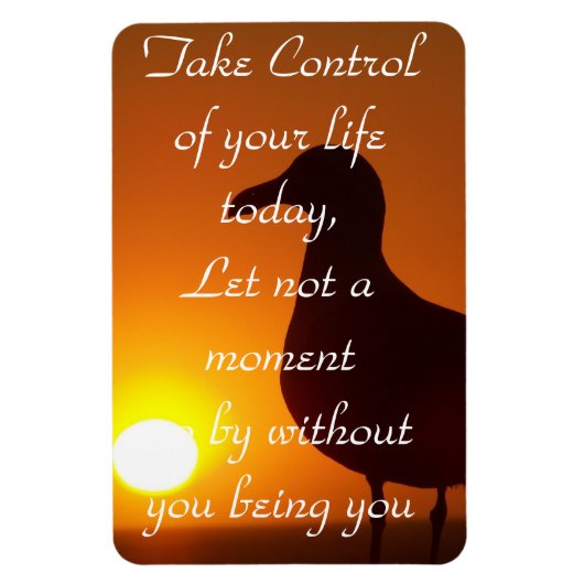 Neem controle._ magneet (Verticaal)