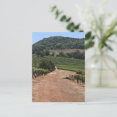 Neem de minder bereisde weg briefkaart (Staand voorkant)