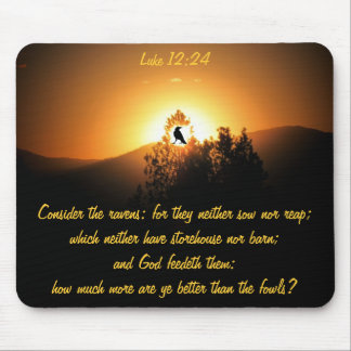 Neem de Ravens... Luke 12:24 Muismat