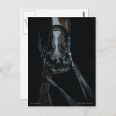 Neem de regens van Mary Gubisch Briefkaart (Voorkant / Achterkant)