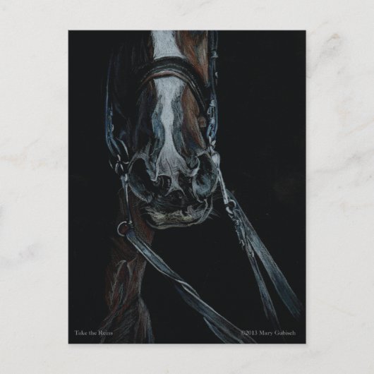 Neem de regens van Mary Gubisch Briefkaart (Voorkant)