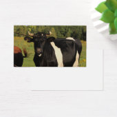 Neem de stier bij de hoorns visitekaartje (Bureau)