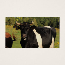 Neem de stier bij de hoorns visitekaartje