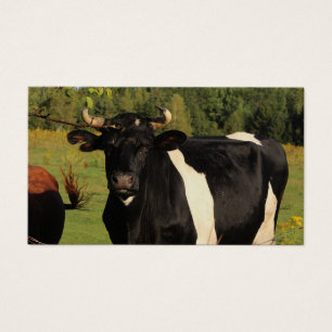 Neem de stier bij de hoorns visitekaartje