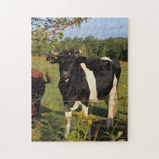 Neem de Stier door de Hoornen Legpuzzel (Verticaal)