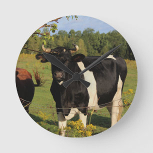 Neem de Stier door de Hoornen Ronde Klok