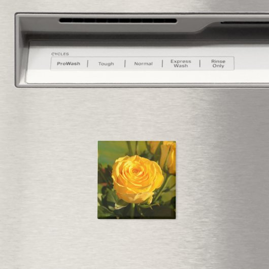 Neem de tijd om de gele roos te ruiken magneet (Insitu (Vaatwasser))