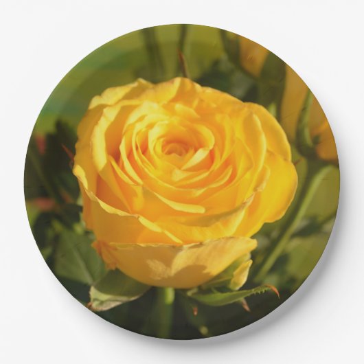 Neem de tijd om de gele roos te ruiken papieren bordje (Voorkant)