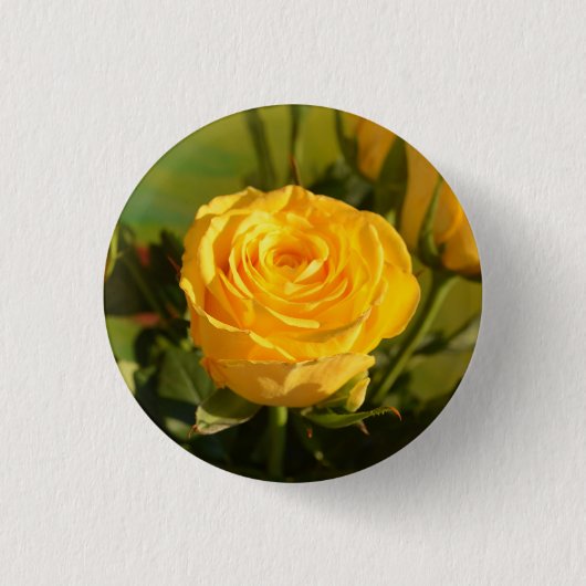 Neem de tijd om de gele roos te ruiken ronde button 3,2 cm (Voorkant)