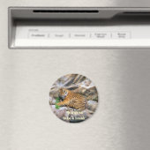 Neem een Break_Magnet Magneet (Insitu (Vaatwasser))