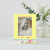 Neem een Briefkaart van de Pasen van de Dog aan (Staand voorkant)