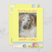 Neem een Briefkaart van de Pasen van de Dog aan (Voorkant / Achterkant)