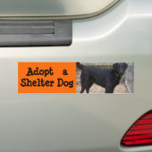 Neem een Bumpersticker van de Dog aan (Op auto)