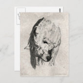 Neem een bus van Mary Gubisch Briefkaart (Voorkant / Achterkant)