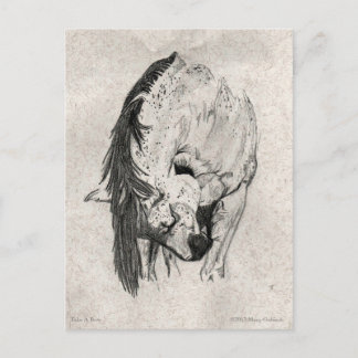 Neem een bus van Mary Gubisch Briefkaart