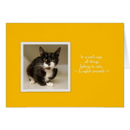 Neem een dag met een gemiddelde snelheid!