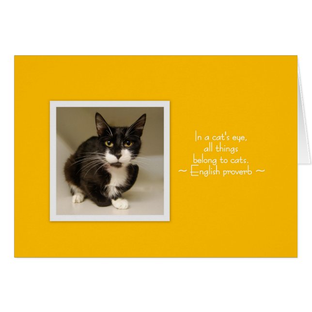 Neem een dag met een gemiddelde snelheid! (Voorkant Horizontaal)