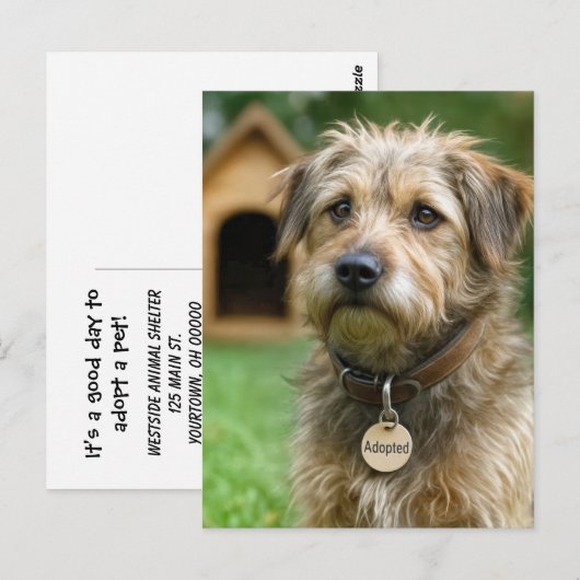 Neem een huisdier briefkaart (Voorkant / Achterkant)