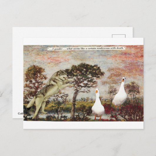 Neem een kans! - briefkaart (Voorkant / Achterkant)