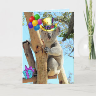 Neem een Koala-ty verjaardagsgevouwen Wenskaart Kaart