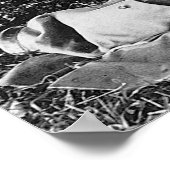 Neem een Mulligan: 1906 Poster (Hoek)