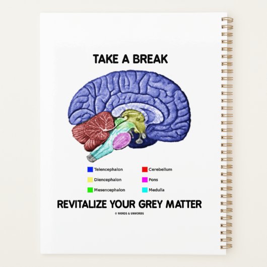 Neem een pauze om je grijze mattenbrein te herzien planner (Achterkant)