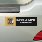 Neem een puppiersticker aan bumpersticker (Op auto)