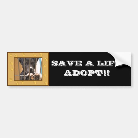 Neem een puppiersticker aan bumpersticker (Voorkant)