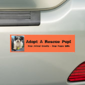 Neem een reddingspup aan! bumpersticker (Op auto)