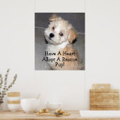 Neem een reddingspup aan! poster (Keuken)