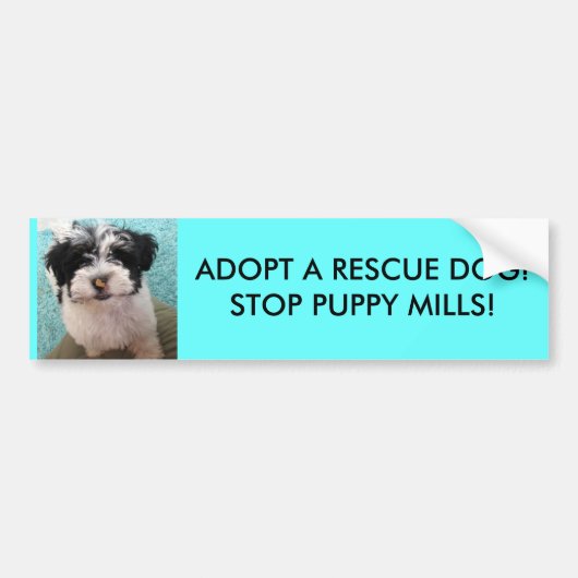 NEEM EEN RESCUE DOG AAN!STOP POPPY MILLS! BUMPERSTICKER (Voorkant)