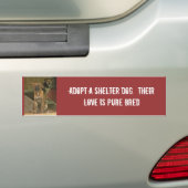 Neem een schuilhond.  Hun liefde is puur Bumpersticker (Op auto)