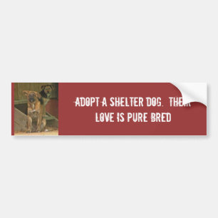 Neem een schuilhond.  Hun liefde is puur Bumpersticker