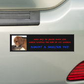 Neem een Shelter Pet aan! Bumpersticker (Op auto)
