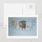 Neem een standaard briefkaart (Voorkant / Achterkant)