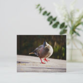 Neem een Walk Briefkaart (Staand voorkant)