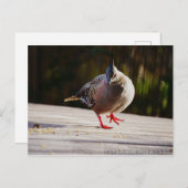 Neem een Walk Briefkaart (Voorkant / Achterkant)