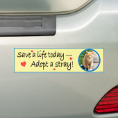 Neem een zwerm #2 Bumpersticker aan (Op auto)