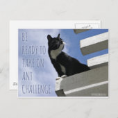 Neem elke Challenge motivatie kat op Briefkaart (Voorkant / Achterkant)