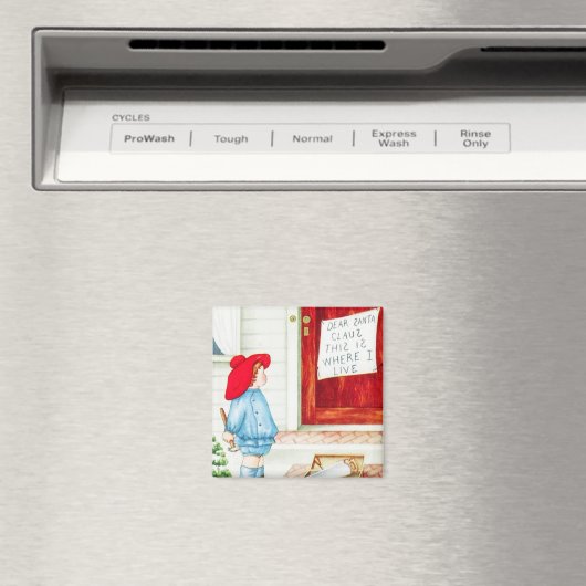 Neem geen Chances  Magnet (Insitu (Vaatwasser))