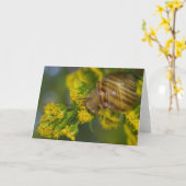 Neem gemakkelijk het (Slak op Gele bloemenmacro) Kaart (Gele Bloem)