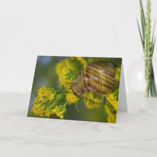 Neem gemakkelijk het (Slak op Gele bloemenmacro) Kaart (Voorkant)