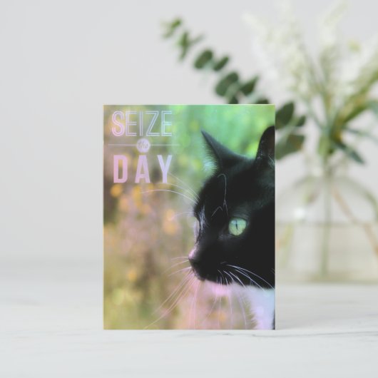 Neem het dagkat in beslag briefkaart (Staand voorkant)