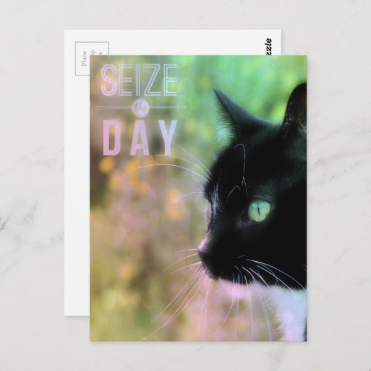 Neem het dagkat in beslag briefkaart (Voorkant / Achterkant)