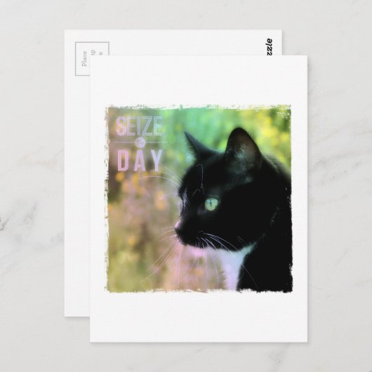 Neem het dagkat in beslag briefkaart (Voorkant / Achterkant)