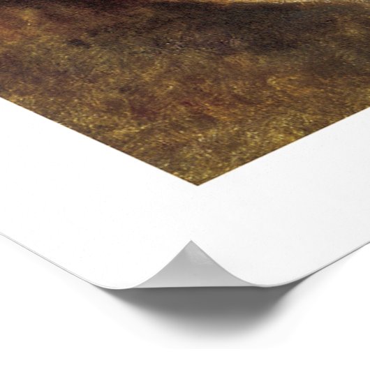 Neem het eerlijke gezicht van de vrouw poster (Hoek)