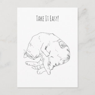Neem het ervan Slaap Kat Persoonlijk Briefkaart