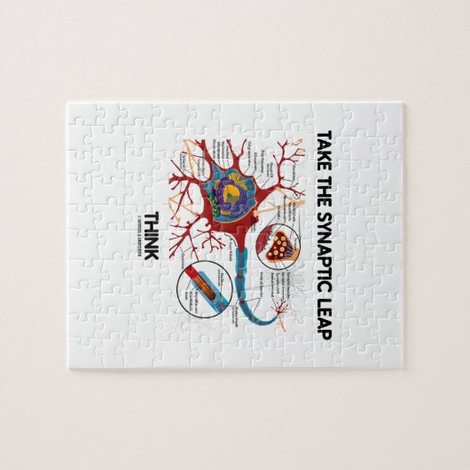 Neem het synaptische lepdenken (Neuron-synapse) Legpuzzel (Horizontaal)