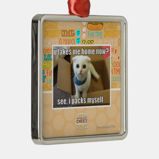 Neem je me nu naar huis? metalen ornament (Rechts)