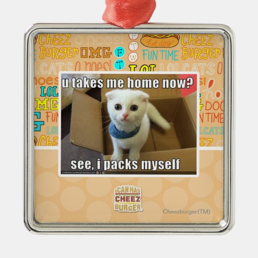 Neem je me nu naar huis? metalen ornament (Voorkant)